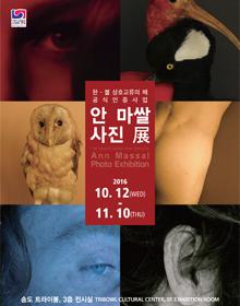Ann Massal 사진 展 - 깃털/깃털뽑기 포스터
